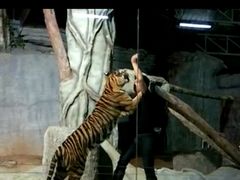 -清迈夜间动物园