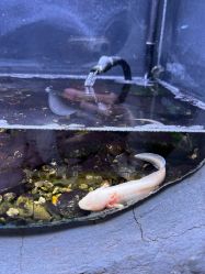 -Zoolung Zoolung动物主题公园(海信广场店)