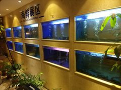 水产区-阿英煲(凉城路店)