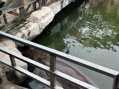-灵玲国际马戏城