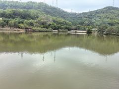-梧桐庄园