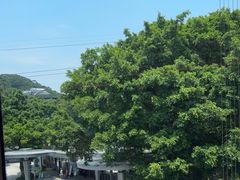 -点都德(广州白云山景区南门店)