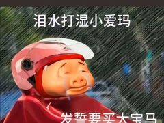 -新紫霞养生·影院足道·SPA(金山区店)