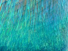 -上海玛雅海滩水公园