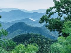 -莫干山风景区