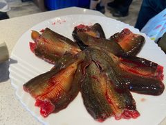-红鼎坊·老成都火锅(新南门店)