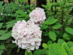 -共青国家森林公园-售票处