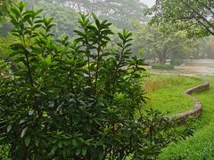-滴水岩森林公园