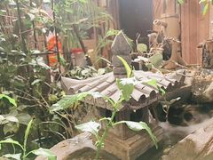 -西西里轰趴日租聚会别墅·团建拓展