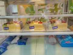 -维尔纳斯·生日蛋糕动物奶油冰淇淋蛋糕(人大店)