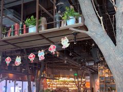 -同仁四季椰子鸡(宝安壹方城店)