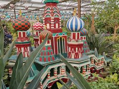 -南宫五洲植物乐园