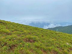 -终南山国家森林公园