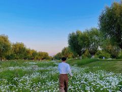 -汉长安城未央宫国家考古遗址公园