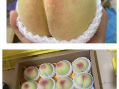 -老袁家蜜桃农场·阳山水蜜桃