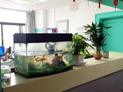 15楼病房护士台-上海市中医医院(芷江路院区)