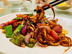 酱爆八爪鱼-海江5号