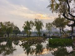 -武汉园博园(武汉自然博物馆)