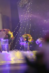 点击看大图 -明典婚礼策划·婚车租赁·婚纱摄影