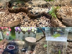 -上海昆虫博物馆