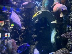 -海合安青岛极地海洋公园