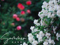 -迎泽公园