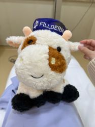 -上海首尔丽格医疗美容医院