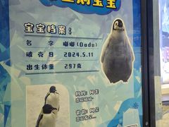 -珠海长隆海洋王国