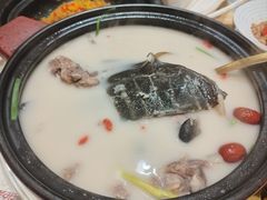 -潇湘甲鱼村(清河店)