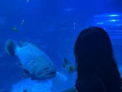 -太平洋海底世界