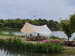 -苏州太湖国家湿地公园