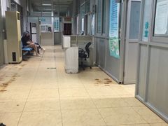 -中国中医科学院望京医院(院本部)