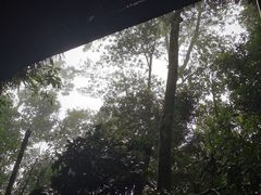 -七仙岭温泉国家森林公园
