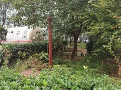 -北京中医药大学东方医院(方庄院区)