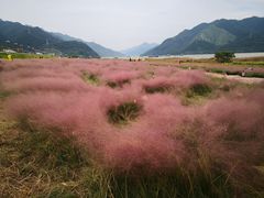 -羚羊峡古栈道森林公园