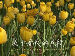 -迎泽公园