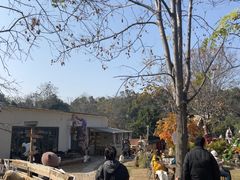 -HERRE·FARM 赫尔露营农场·团建聚会包场