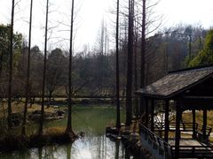 -兰亭风景区