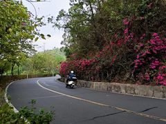 -红花湖景区