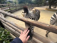 -泉州海丝野生动物世界