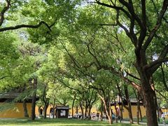 -西园戒幢律寺