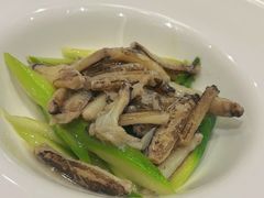 蟹柳芦笋-新光酒家·河豚·海鲜·蟹料理(浦东店)