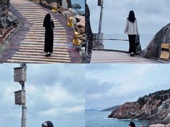 -广东惠东海龟国家级自然保护区