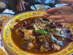 -靠山屯东北农家菜(八龙桥雅苑店)