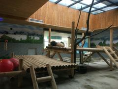 -西安秦岭野生动物园