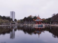 -金砂公园