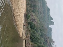 -九曲溪竹筏码头