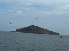-海驴岛(荣成市)