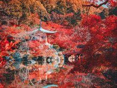 -大国药妆(NEW心斎橋店)