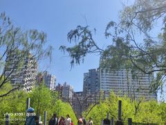 -长白岛森林公园